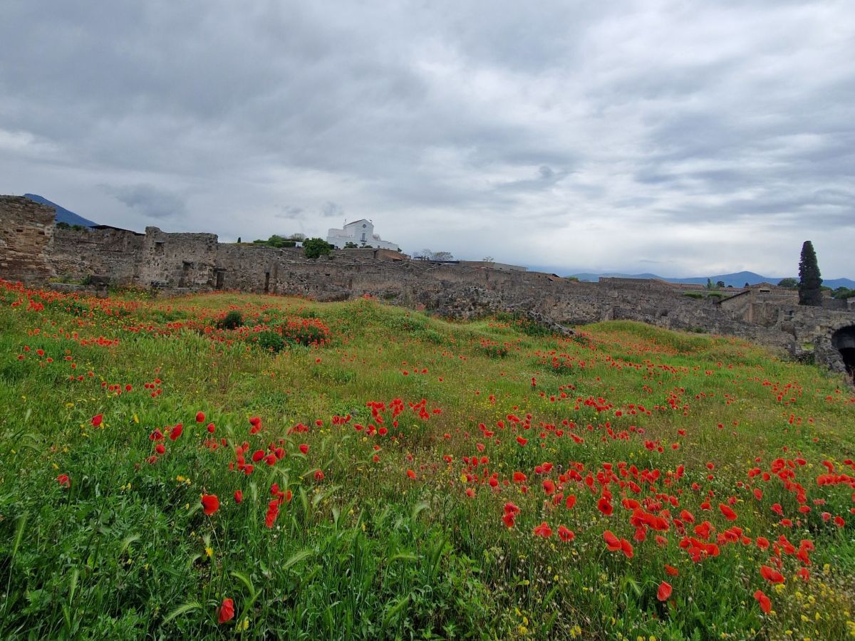 B&B Maison de Charme: Affordable stay in Pompeii | Tight Travellers&nbsp;Review