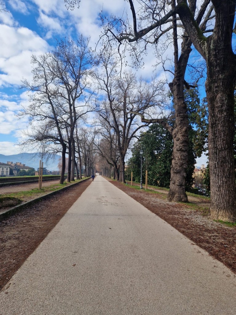 9cd5373c-a6e3-4d49-9917-4fcd2498200f-1