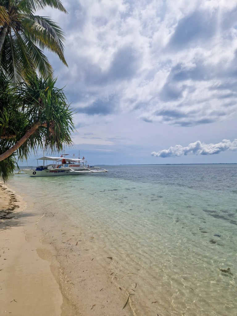 579bfdf3-4a85-4ce2-8d19-4e355e2dc28c-1